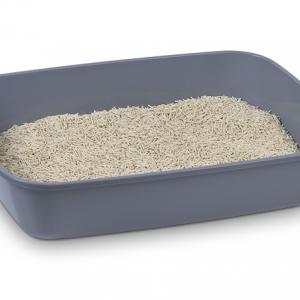 The Ultimate Cat Litter Showdown: Bentonite vs. Tofu