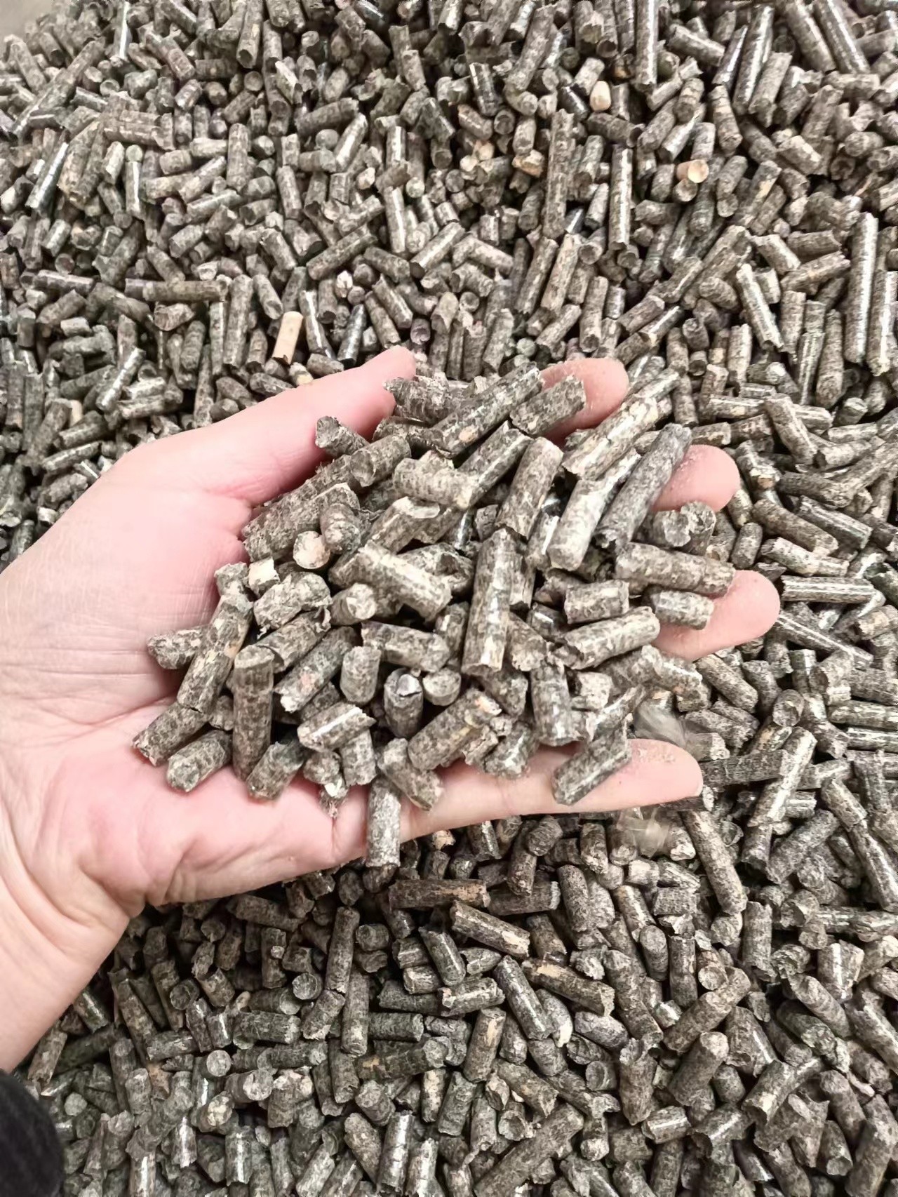 Activated Carbon Pinewood Cat Litter 