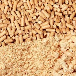 Pine Wood Cat Litter 